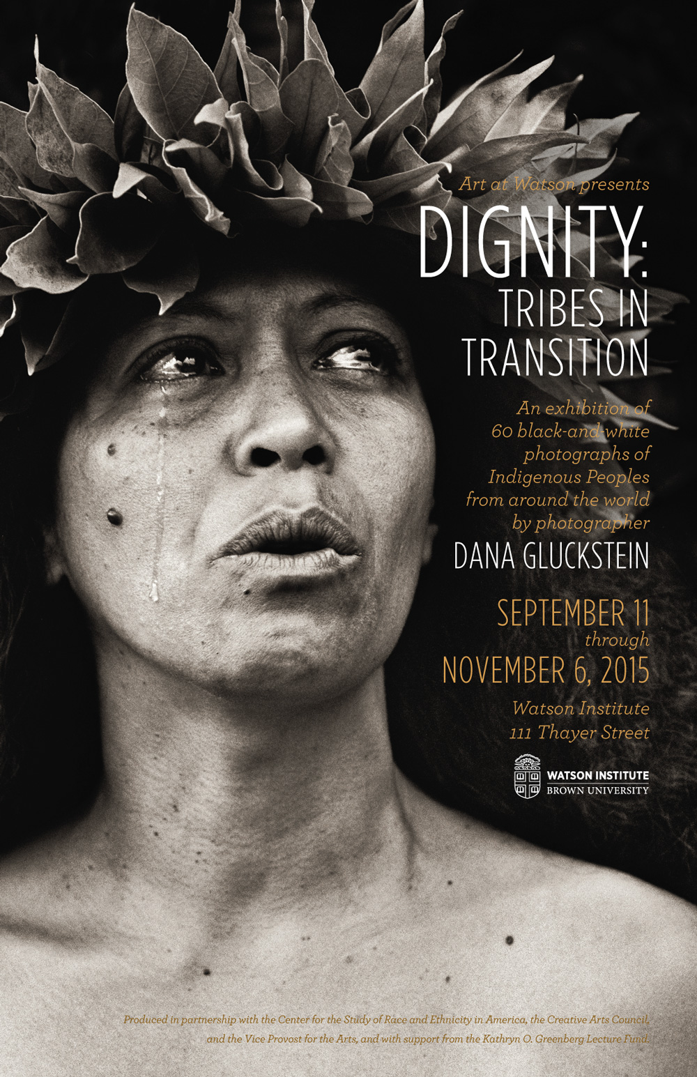 brown_university_watson_institute_dignity_tribes_in_transition_poster_dana_gluckstein