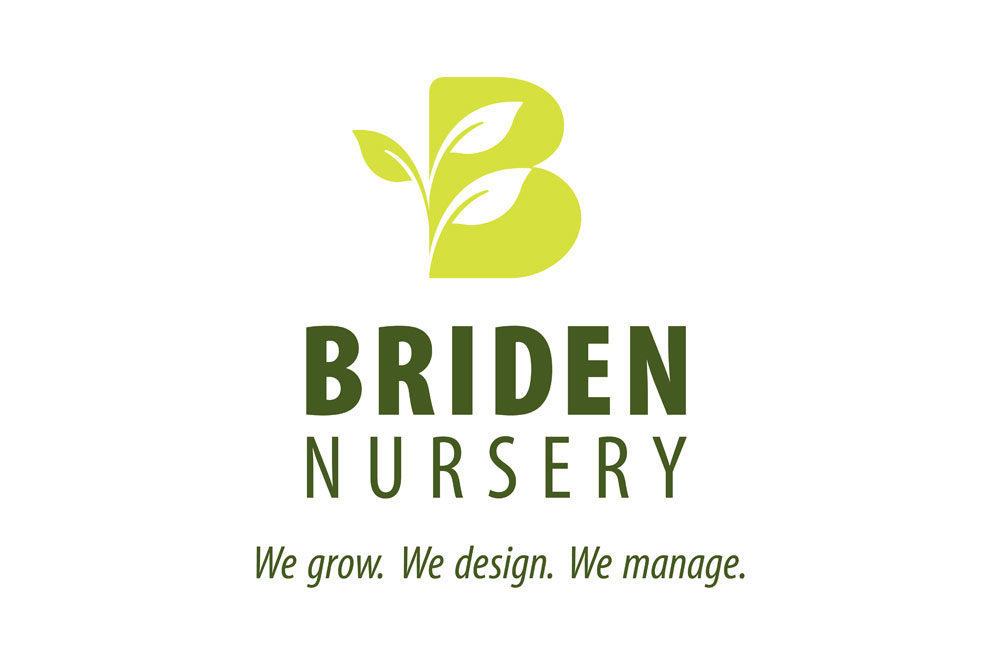 briden_nursery
